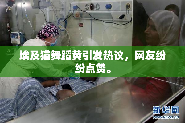 埃及猫舞蹈黄引发热议，网友纷纷点赞。