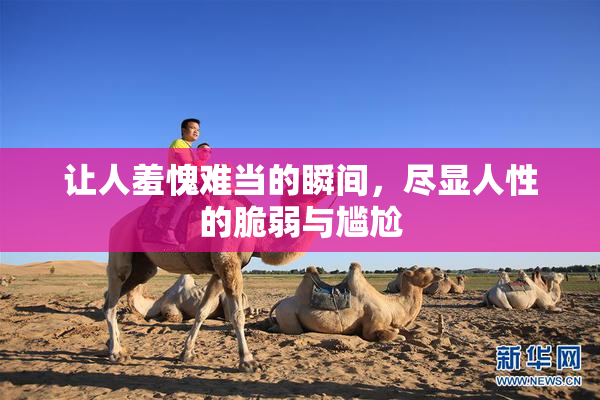 让人羞愧难当的瞬间，尽显人性的脆弱与尴尬
