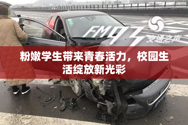 粉嫩学生带来青春活力，校园生活绽放新光彩