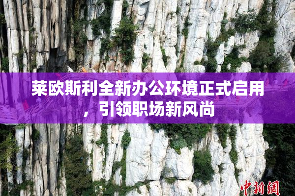 莱欧斯利全新办公环境正式启用，引领职场新风尚