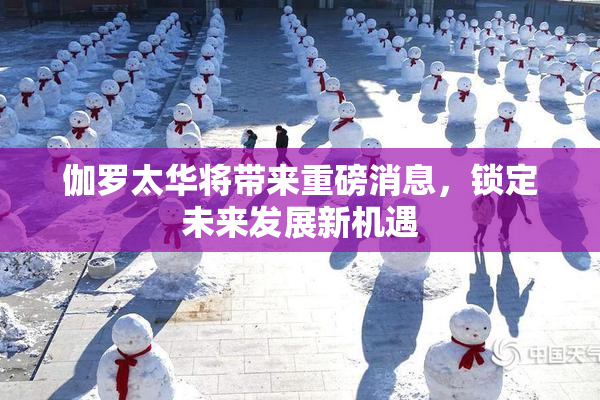 伽罗太华将带来重磅消息，锁定未来发展新机遇