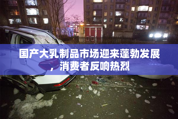 国产大乳制品市场迎来蓬勃发展，消费者反响热烈
