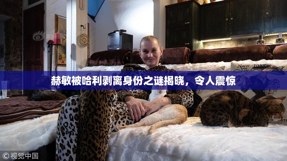 赫敏被哈利剥离身份之谜揭晓，令人震惊
