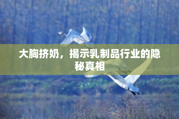 大胸挤奶，揭示乳制品行业的隐秘真相