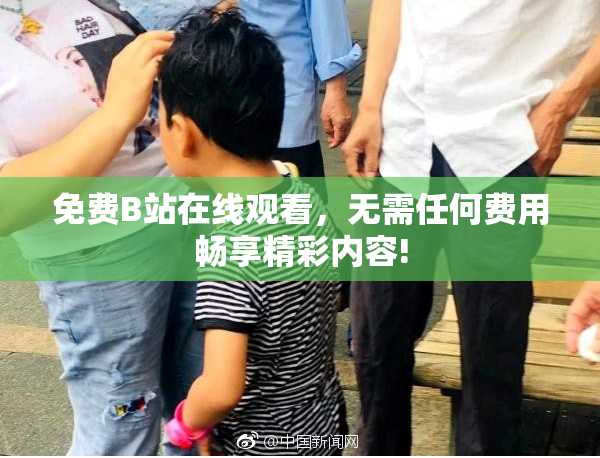 免费B站在线观看，无需任何费用畅享精彩内容!