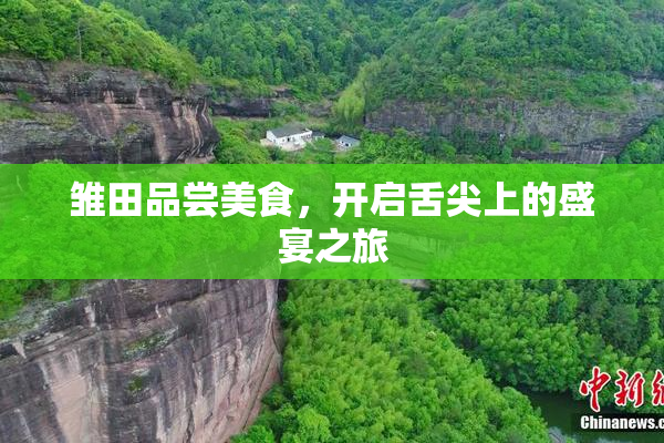 雏田品尝美食，开启舌尖上的盛宴之旅