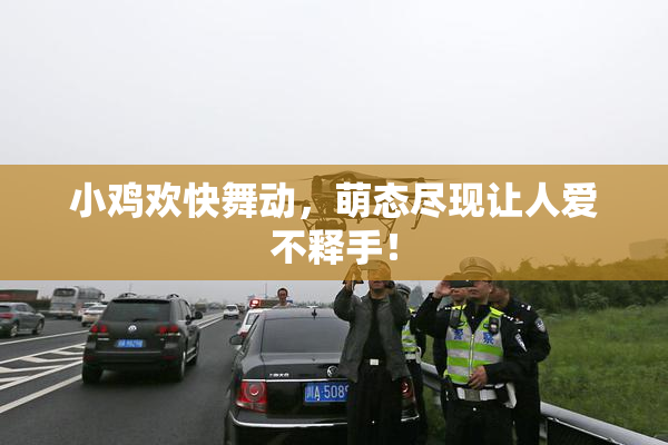 小鸡欢快舞动，萌态尽现让人爱不释手！