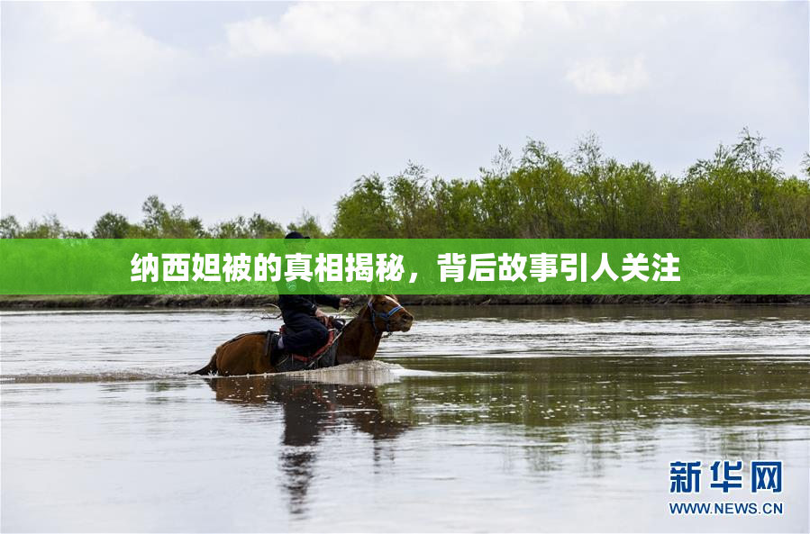纳西妲被的真相揭秘，背后故事引人关注