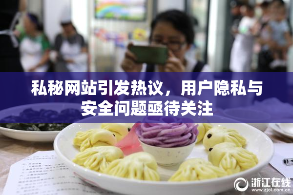私秘网站引发热议，用户隐私与安全问题亟待关注