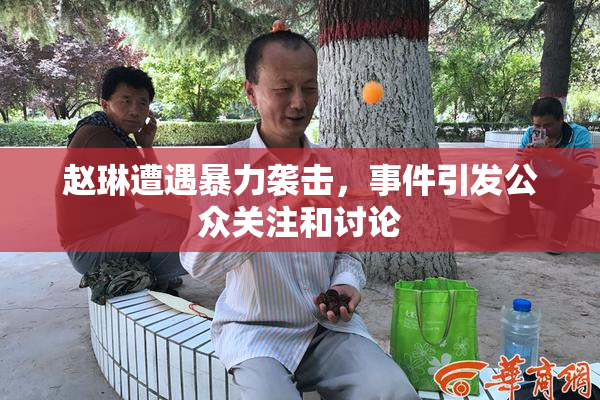 赵琳遭遇暴力袭击，事件引发公众关注和讨论