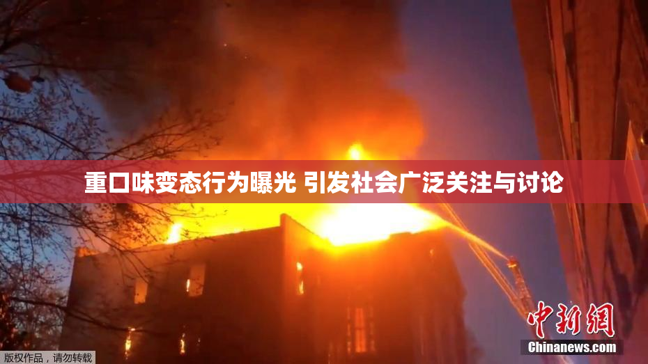 重口味变态行为曝光 引发社会广泛关注与讨论