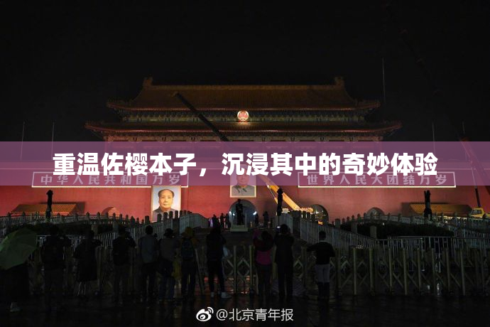 重温佐樱本子，沉浸其中的奇妙体验