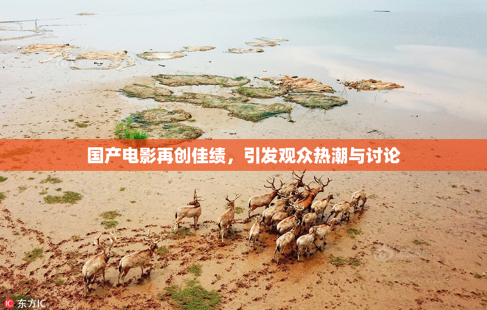 国产电影再创佳绩，引发观众热潮与讨论