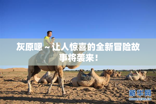 灰原嗯～让人惊喜的全新冒险故事将袭来！