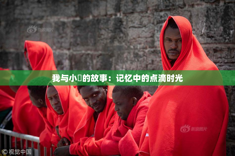 我与小娻的故事：记忆中的点滴时光