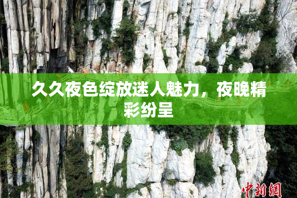 久久夜色绽放迷人魅力，夜晚精彩纷呈