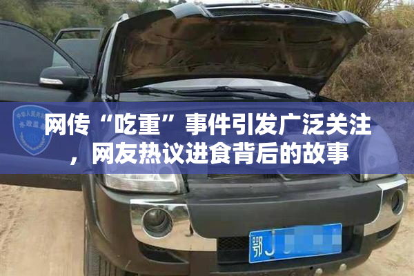 网传“吃重”事件引发广泛关注，网友热议进食背后的故事
