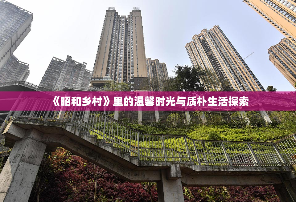 《昭和乡村》里的温馨时光与质朴生活探索