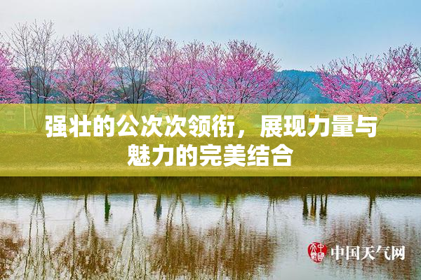 强壮的公次次领衔，展现力量与魅力的完美结合