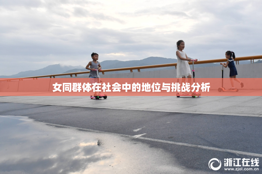 女同群体在社会中的地位与挑战分析