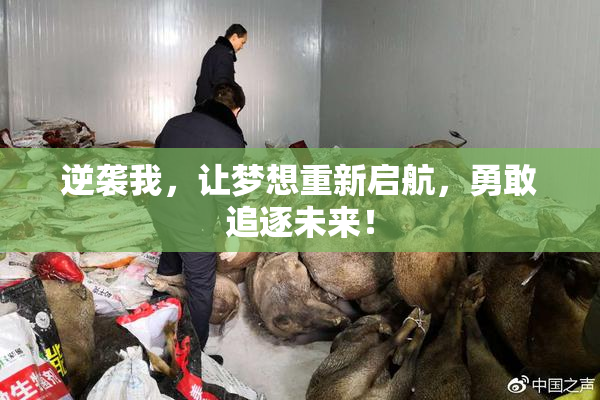 逆袭我，让梦想重新启航，勇敢追逐未来！