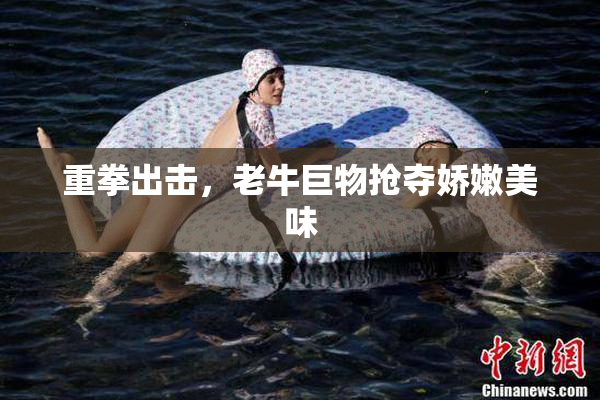 重拳出击，老牛巨物抢夺娇嫩美味