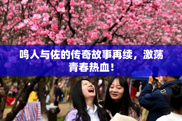 鸣人与佐的传奇故事再续，激荡青春热血！