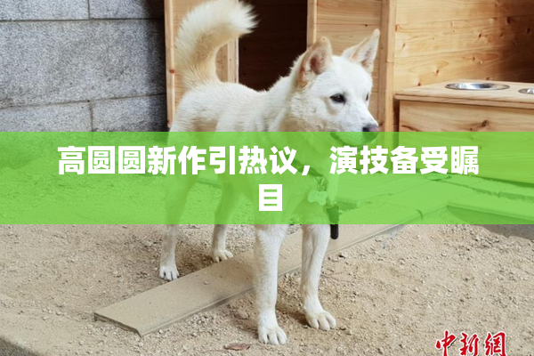 高圆圆新作引热议，演技备受瞩目