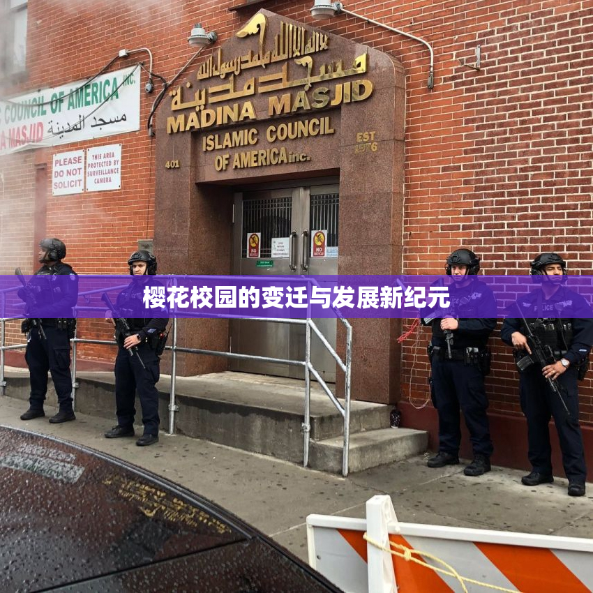 樱花校园的变迁与发展新纪元