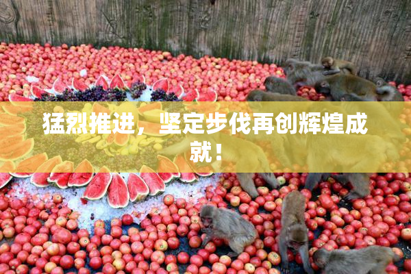 猛烈推进，坚定步伐再创辉煌成就！