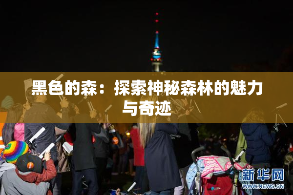 黑色的森：探索神秘森林的魅力与奇迹