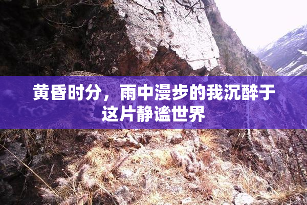 黄昏时分，雨中漫步的我沉醉于这片静谧世界