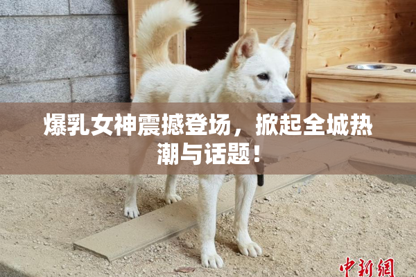 爆乳女神震撼登场，掀起全城热潮与话题！