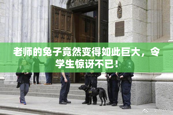 老师的兔子竟然变得如此巨大，令学生惊讶不已！