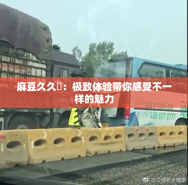 麻豆久久婬：极致体验带你感受不一样的魅力