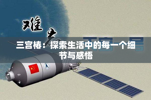 三宫椿：探索生活中的每一个细节与感悟