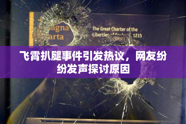 飞霄扒腿事件引发热议，网友纷纷发声探讨原因