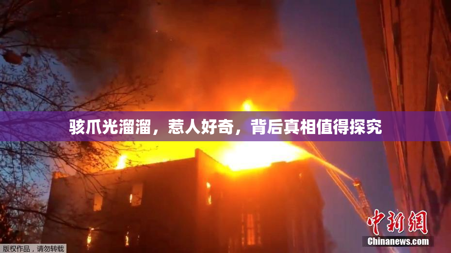 骇爪光溜溜，惹人好奇，背后真相值得探究