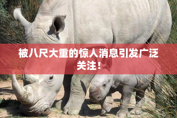 被八尺大重的惊人消息引发广泛关注！
