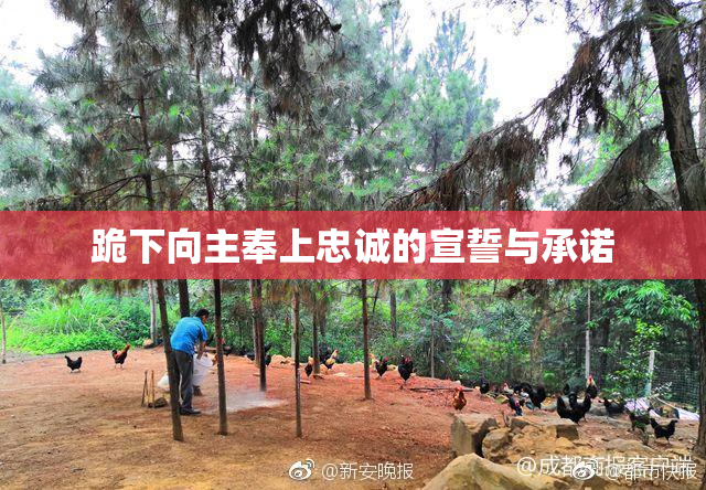 跪下向主奉上忠诚的宣誓与承诺