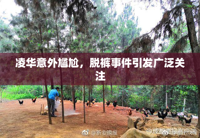 凌华意外尴尬，脱裤事件引发广泛关注