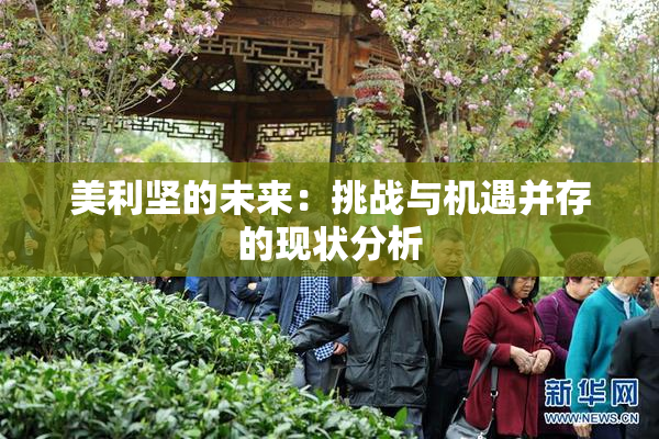 美利坚的未来：挑战与机遇并存的现状分析
