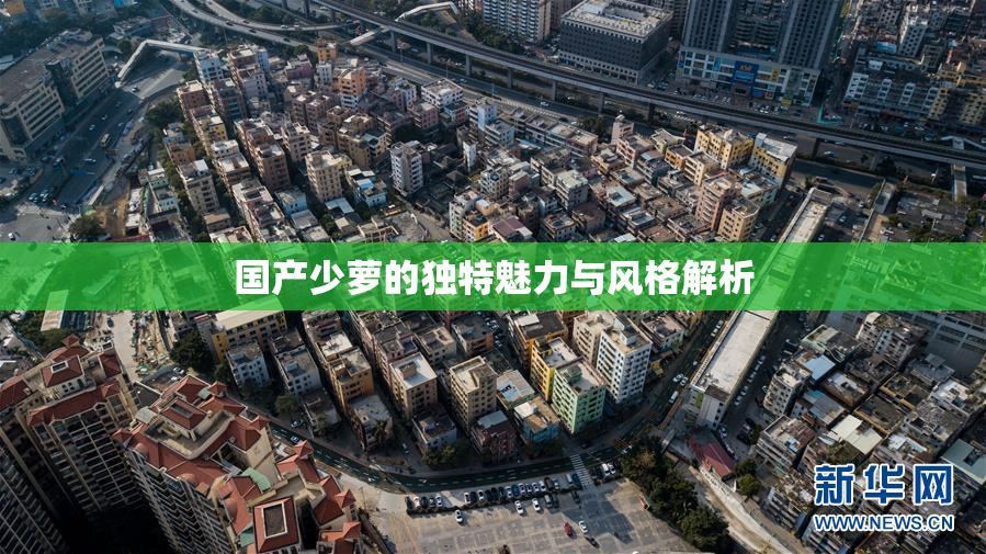 国产少萝的独特魅力与风格解析