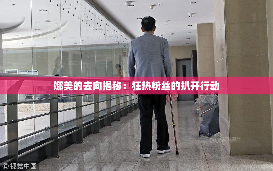 娜美的去向揭秘：狂热粉丝的扒开行动