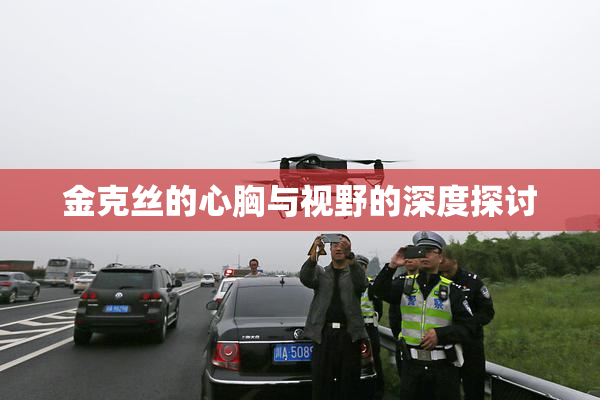 金克丝的心胸与视野的深度探讨