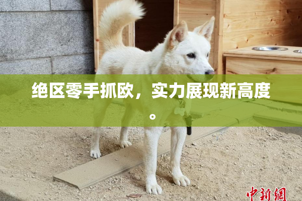 绝区零手抓欧，实力展现新高度。