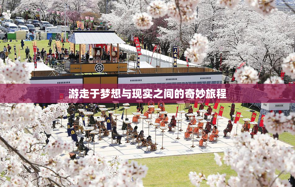 游走于梦想与现实之间的奇妙旅程