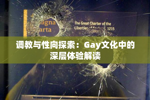 调教与性向探索：Gay文化中的深层体验解读