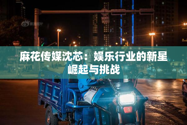 麻花传媒沈芯：娱乐行业的新星崛起与挑战