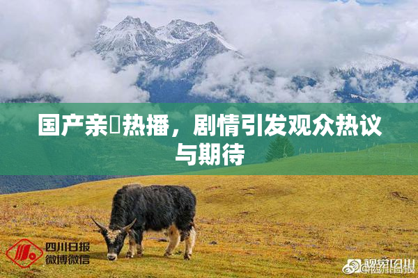 国产亲妺热播，剧情引发观众热议与期待